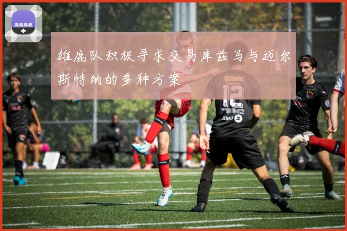 雄鹿队积极寻求交易库兹马与迈尔斯特纳的多种方案