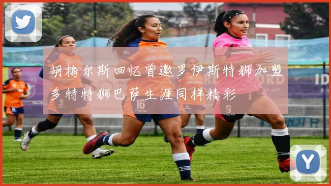 胡梅尔斯回忆曾邀罗伊斯特狮加盟多特特狮巴萨生涯同样精彩
